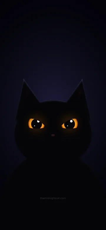 Black cat wallpaper: Midnight giving a judging side-eye